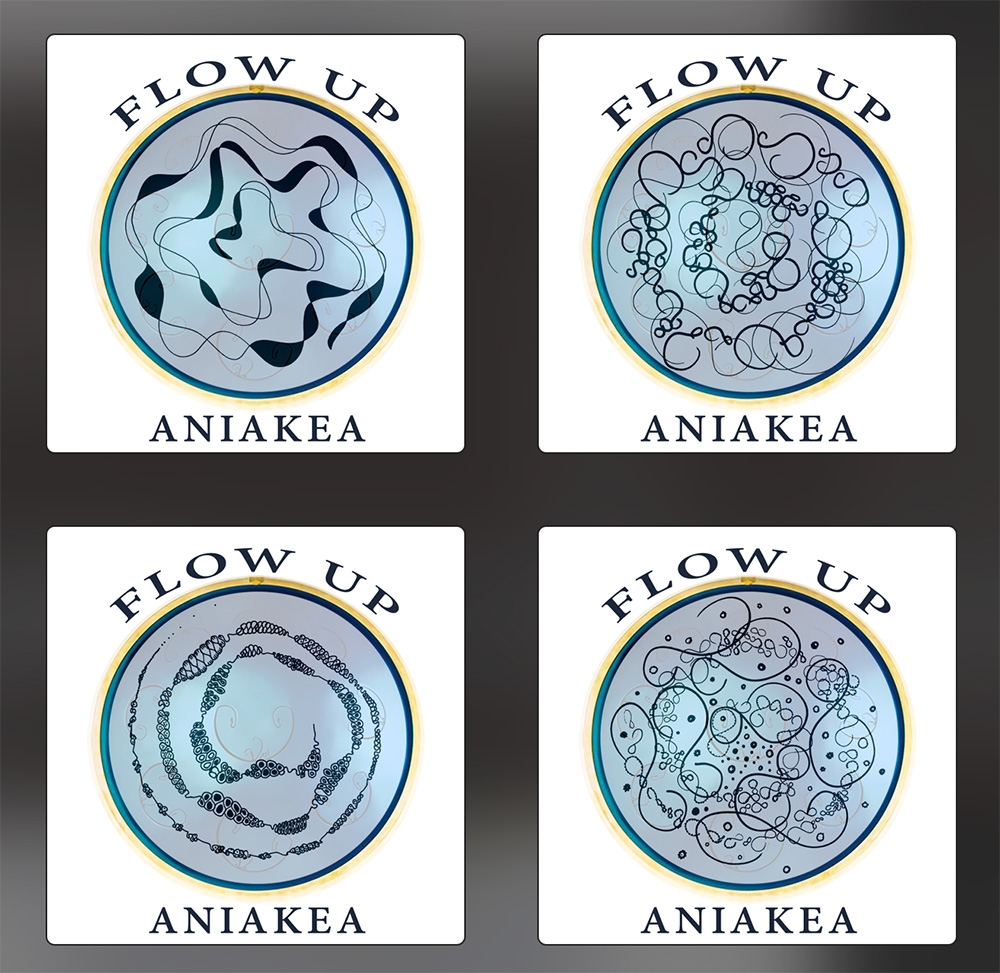 Aniakea FlowUp 4 cover preview