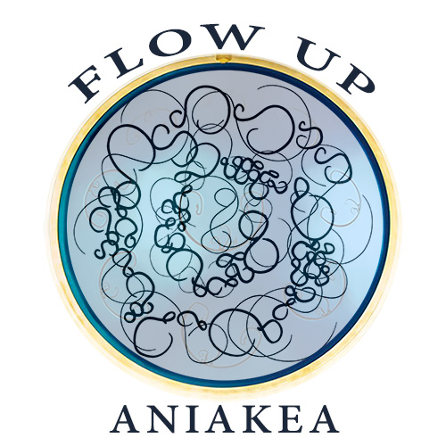 Aniakea FlowUp